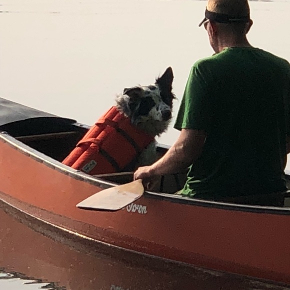 Meet your Posher, Magen - Picture 2 of 8